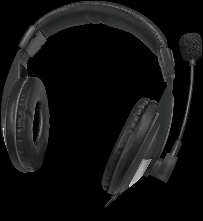 Immagine prodotto LogiLink Cuffie stereo USB (Cablato, USB-A)