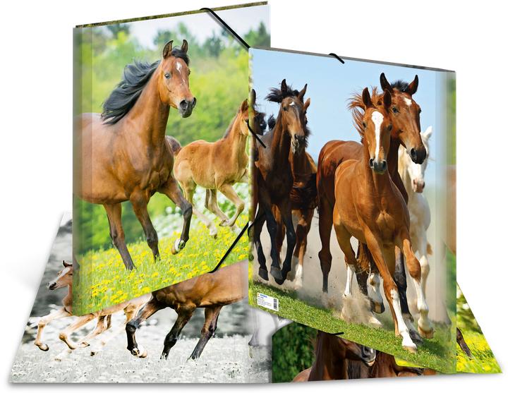 Produktbild HERMA Sammelmappe A3 Motiv (A3, 1x)