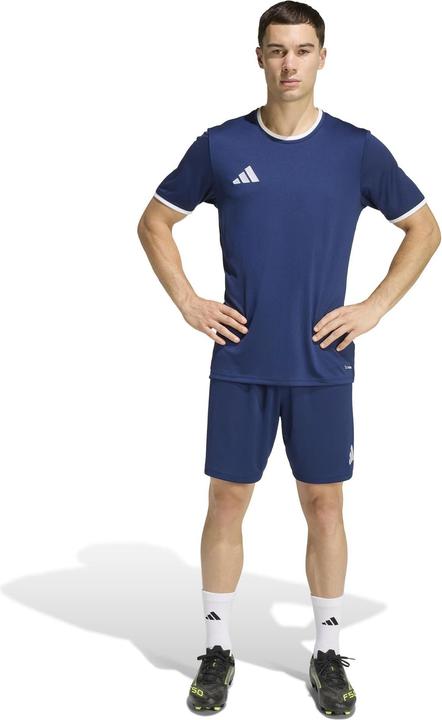 Actual product image Adidas Entrada T-Shirt (XL)