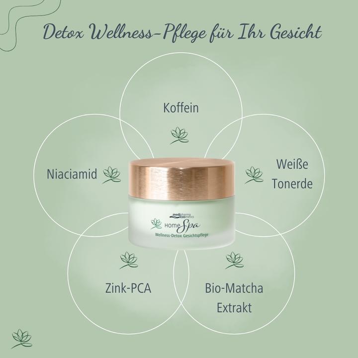 Actual product image Dr. Theiss Home Spa Wellne Detox Gesi, 50 ml CRE (50 ml, Day cream)