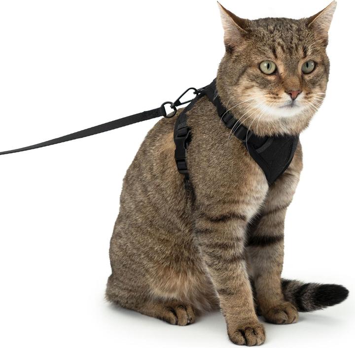 Image du produit LucyBalu EXPLORER Katzengeschirr (M, L, Chat, Général)