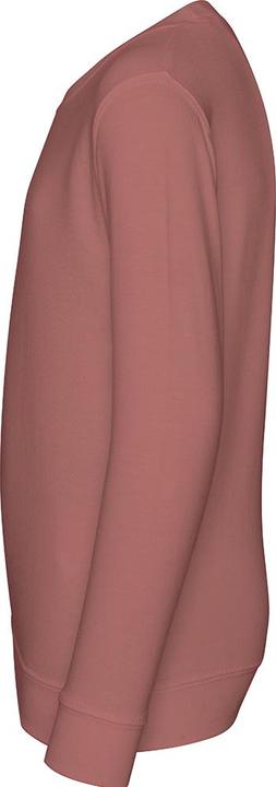 Actual product image Awdis Just Hoods sweatshirt with round neckline (XXL)