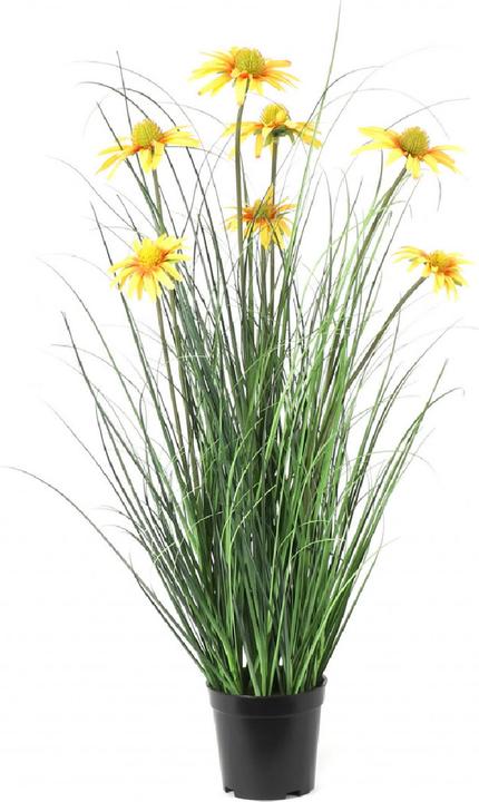 Immagine prodotto Decofinder Sonnenhut Gelb (122 cm)
