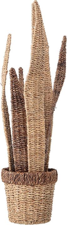 Produktbild Bloomingville Sansevieria