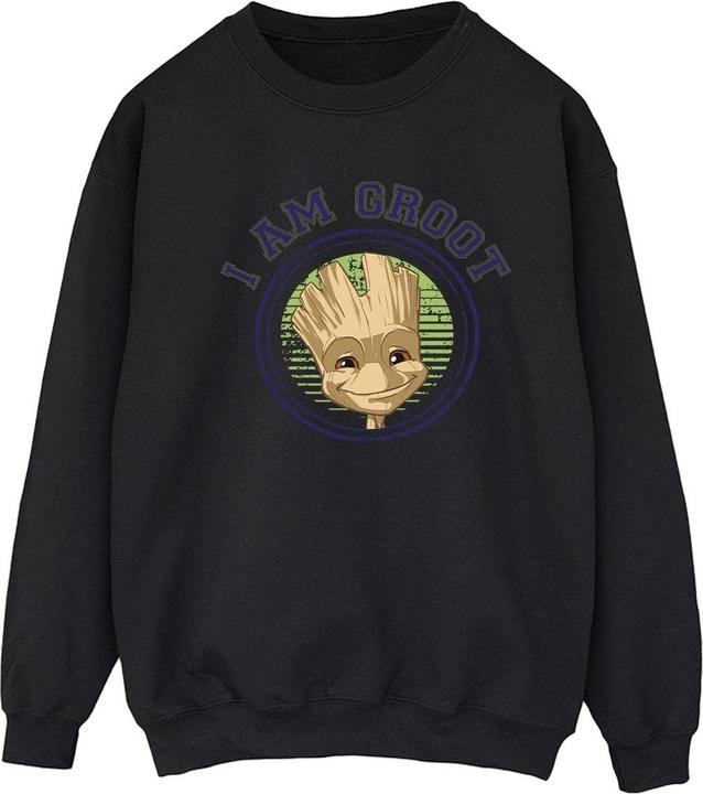 Produktbild Guardians of the Galaxy Groot Varsity Sweatshirt (L)