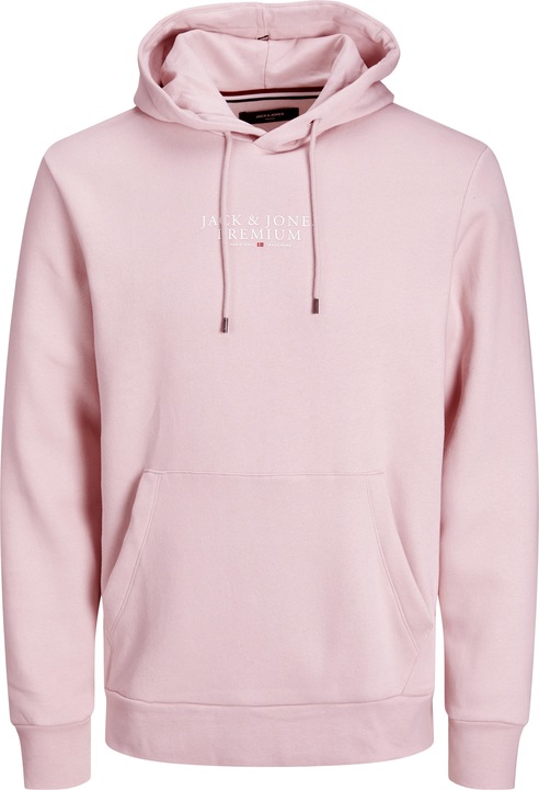 Jack & Jones Jprbluarchie Sweat Hood Noos