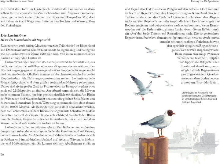 Produktbild Vögel in der Stadt (Deutsch, Dr. Klaus Richarz, Klaus Richarz, Konrad Algermissen, 2015)