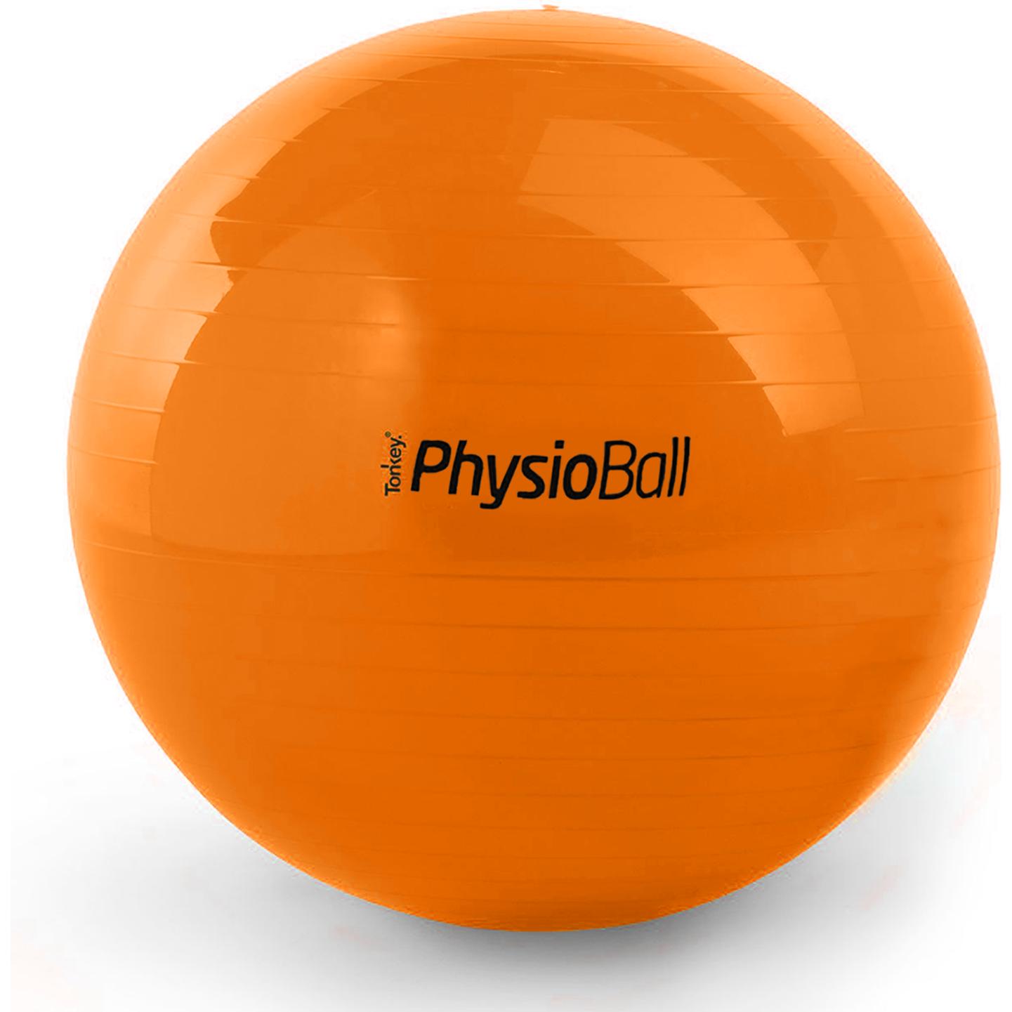 Ledragomma Original Pezziball (120 cm) (30.656)