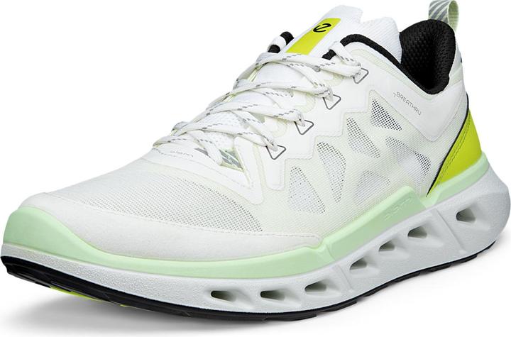 Ecco Biom 720 (44)