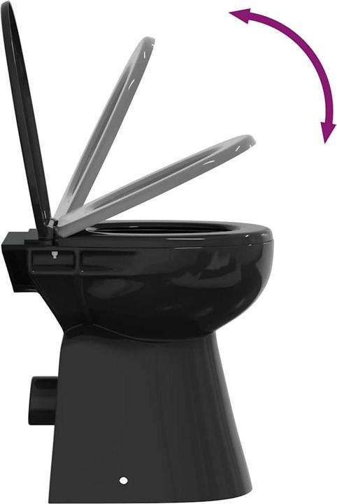 Actual product image vidaXL Toilette