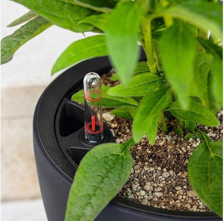 Produktbild Lechuza Classico Color. (28 cm)