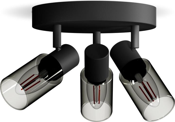 Produktbild Philips Palms (E14)