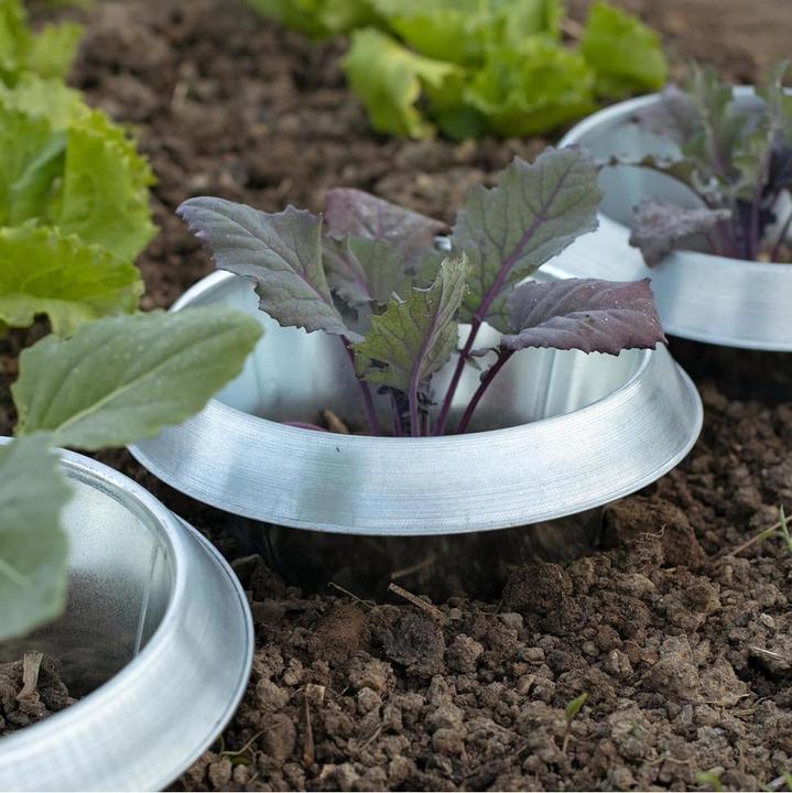 Actual product image Andermatt Biogarten SnailStop