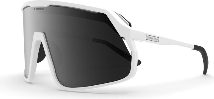 Image du produit Lom Sunglasses (Fumée)