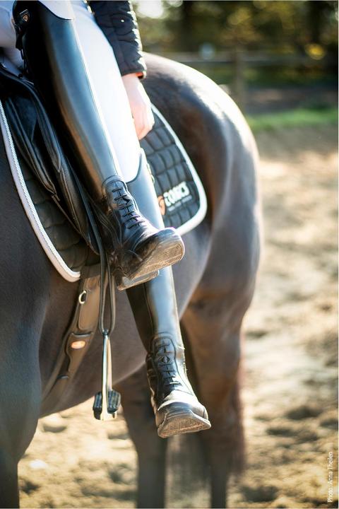 Produktbild Schockemöhle Sports Reitstiefel Jupiter Tonics Damen (38)