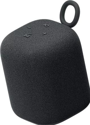 Image du produit Sony SRS-LS1 (25 h)