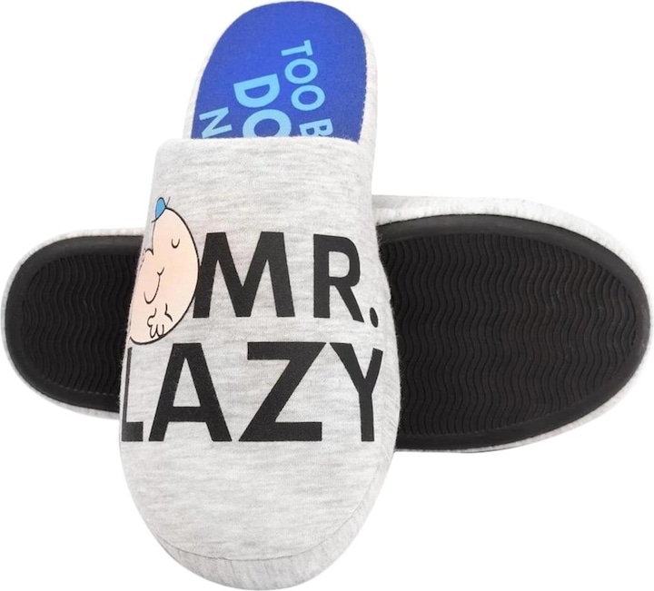 Actual product image Mr. Men Slippers (40.5)