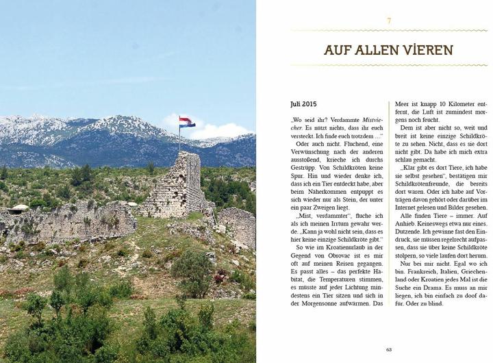 Produktbild Manchmal sind es Goldstücke (Deutsch, Lutz Prauser, 2018)