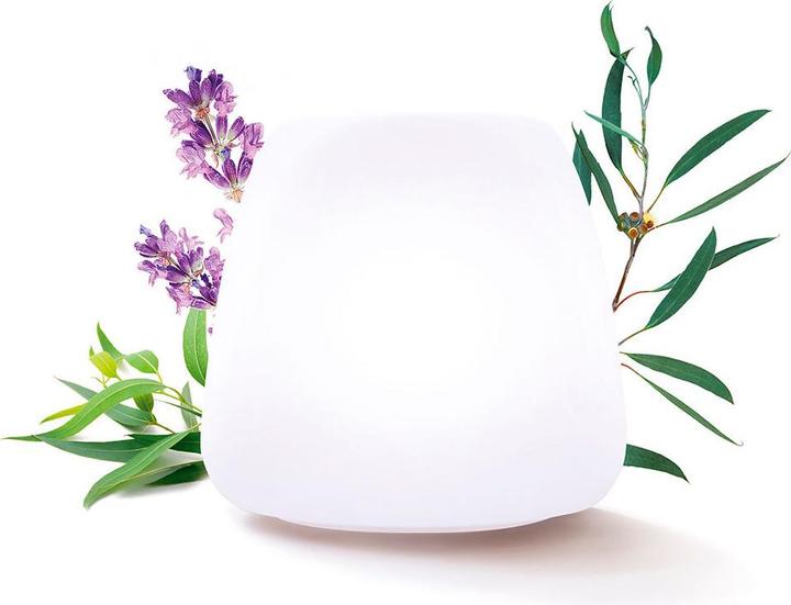 Actual product image Pranarom Joy (90 ml)