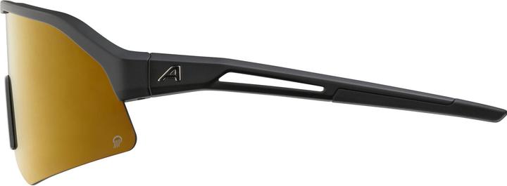 Actual product image Alpina Sonic HR Q (Matt black, Gold)