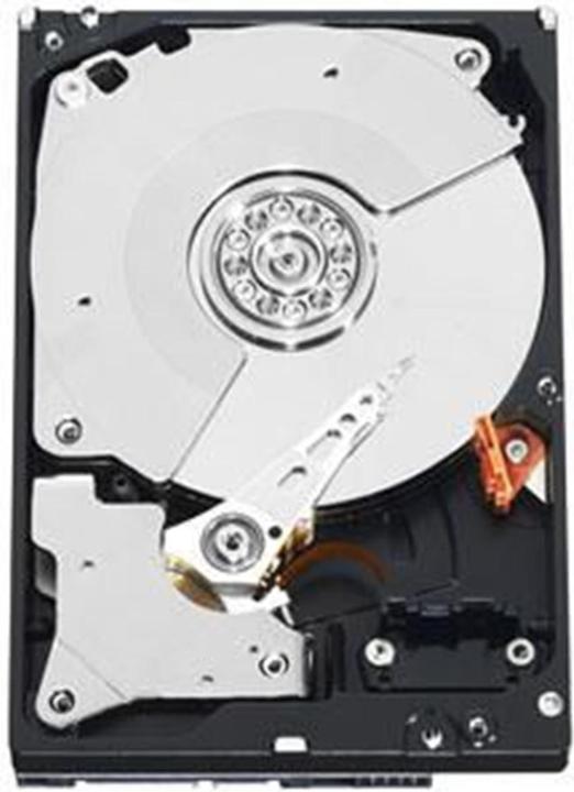 WD RE4 1TB 7200RPM WD1003FBYXRFB (1 TB, 5.25")