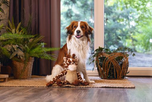 Image du produit Beeztees Hundespielzeug Giraffe (Jouet en peluche chien)
