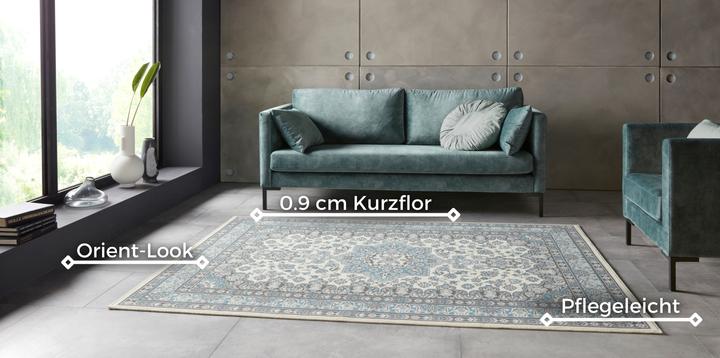 Produktbild Hanse Home Parun Tabriz (170 x 120 cm)
