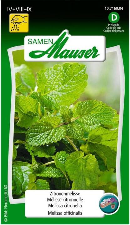 Samen Mauser Zitronenmelisse (Kräutersamen)