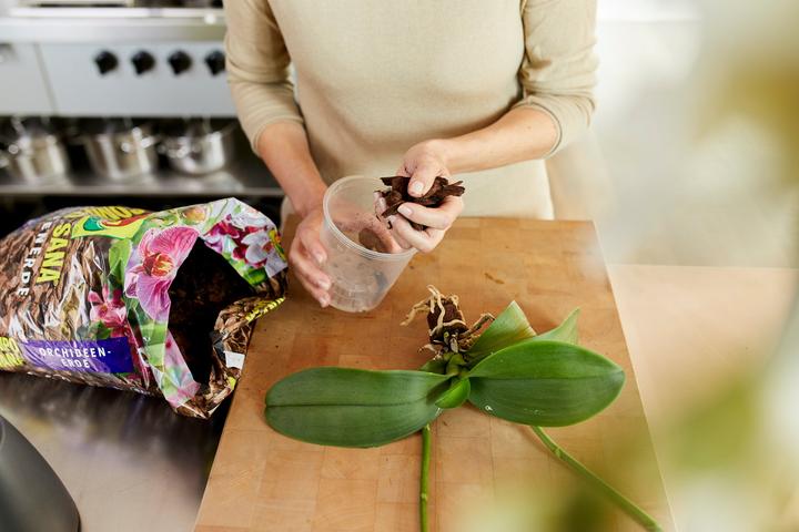 Image du produit Migros-Bio Garden Terreau à orchidées (3 l)