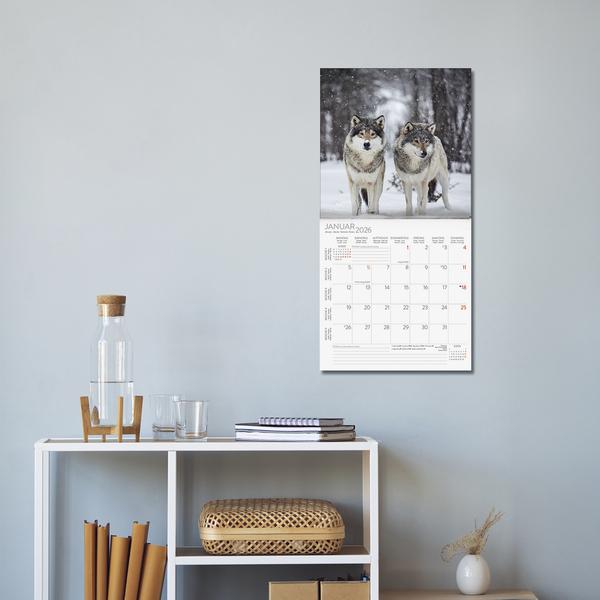 Produktbild Wlfe 2026