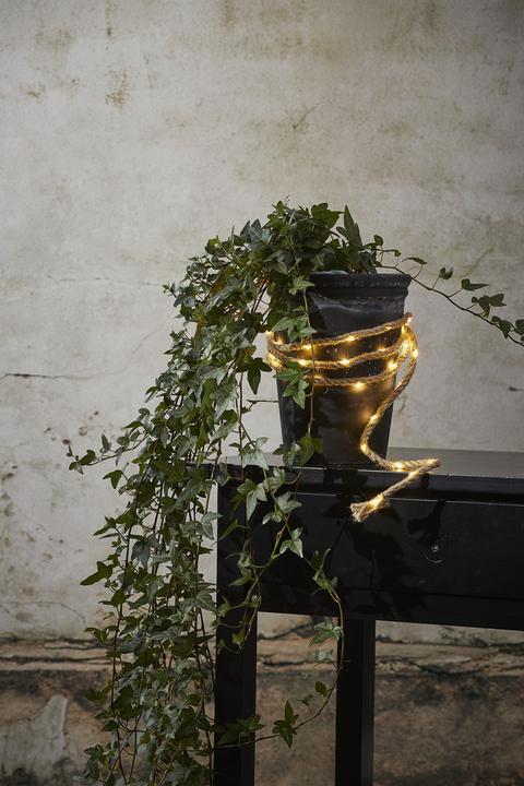 Immagine prodotto Star Trading Jutta (2.20 m)