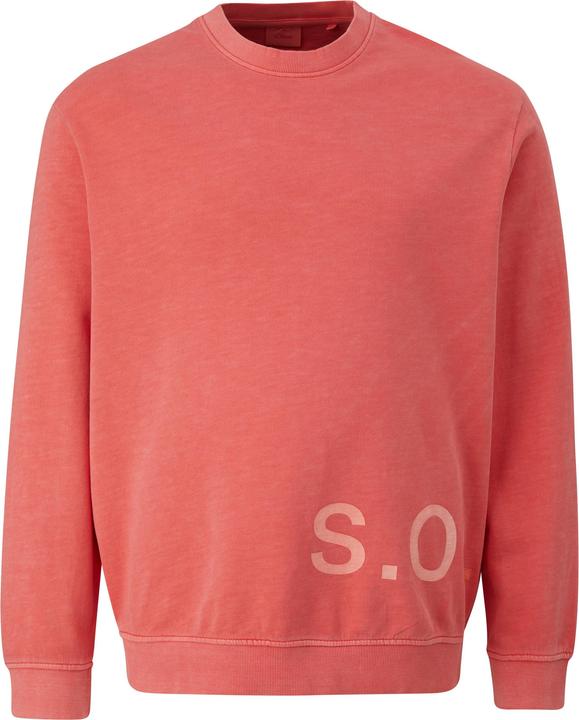 Image du produit s.Oliver Sweatshirt Baumwoll-Sweatshirt mit Logo-Print (4XL)
