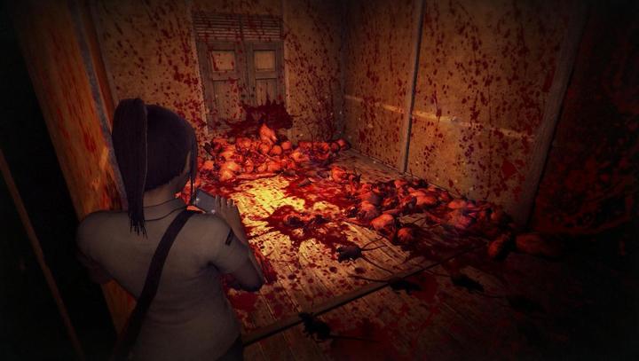 Immagine prodotto Softsource DreadOut Remastered Collection -Asia- (PS5)