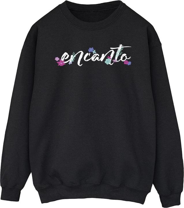 Disney Encanto Logo Sweatshirt (XXL)