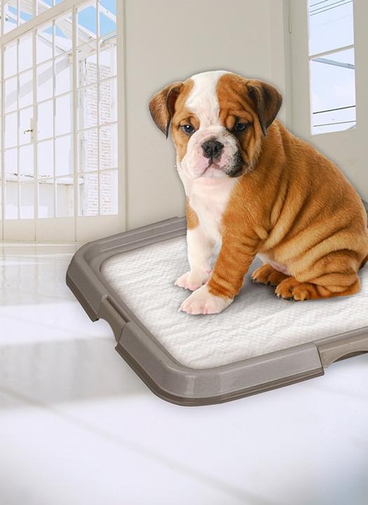 Productafbeelding Qualidog Puppies WC (Hond)