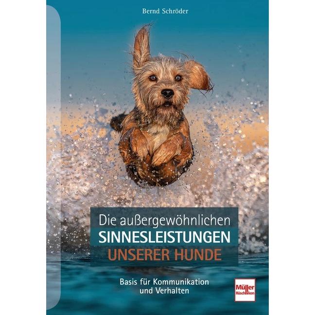Thumbnail - Die aussergewöhnlichen Sinnesleistungen unserer Hunde, Ratgeber von Bernd Schröder
