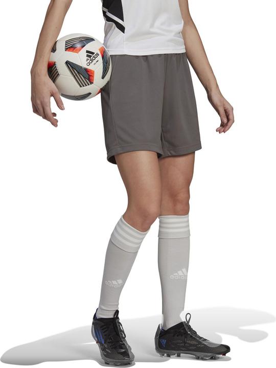 Actual product image adidas Entrada 22 Shorts (M)