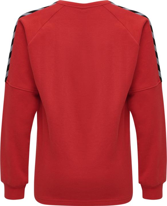 Image du produit hummel Authentique Sweat D'Entraînement Pour Enfants (176)