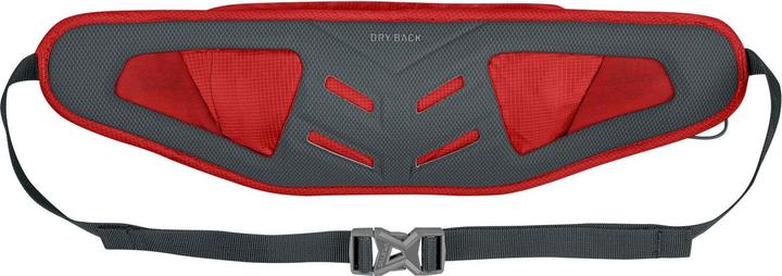 Produktbild Salewa Lite Train Hipbelt