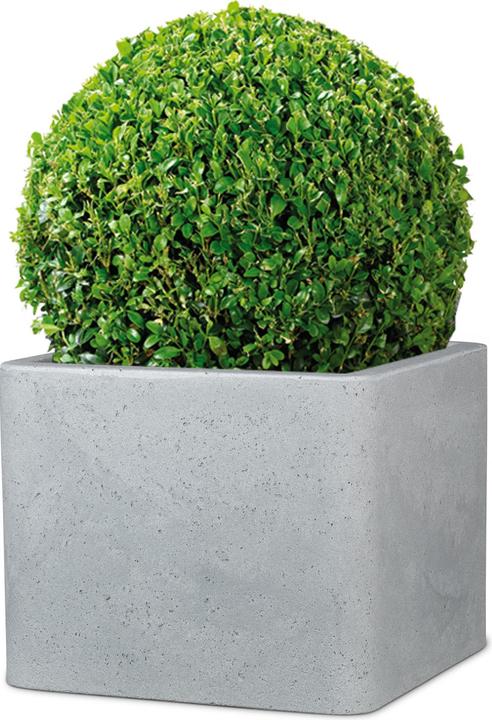 Produktbild Scheurich Alea (38 x 38 x 33 cm)