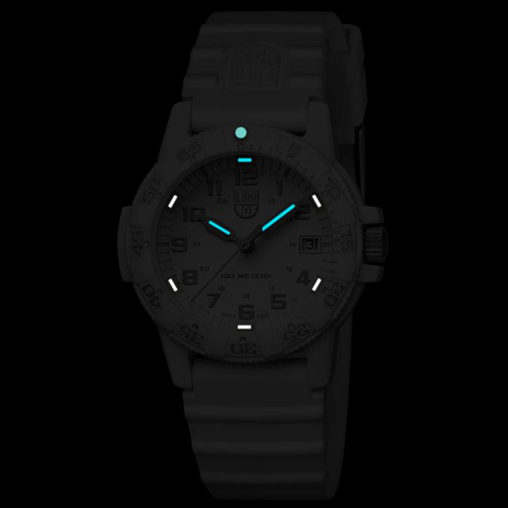Actual product image Luminox Sea Turtle (Analogue wristwatch, Swiss made, 39 mm)