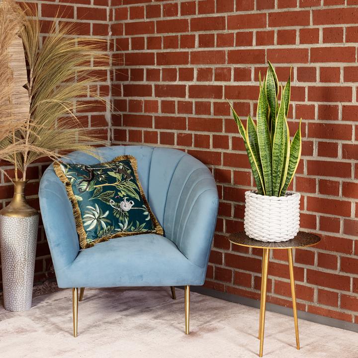 Produktbild Flowerbox Bogenhanf - Sansevieria trifasciata Laurentii (65 cm)