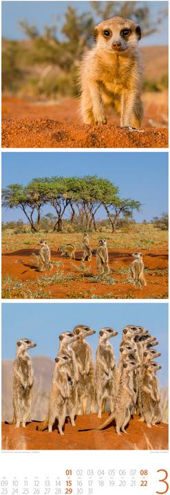 Image du produit Tierwelten Triplet-Kalender 2026 (24 x 66 cm, Allemand)