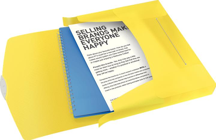 Actual product image Esselte Box File VIVIDA (A4, 1 x)