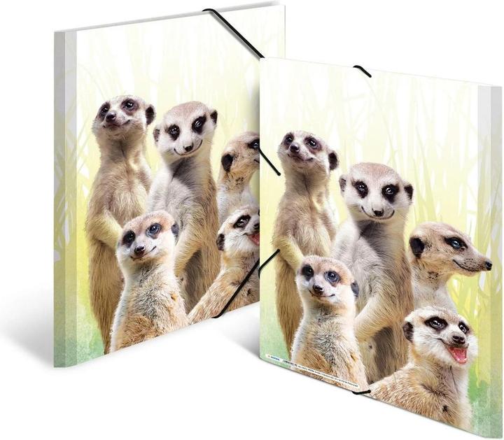 Actual product image HERMA A3 motif folder (A3, 1x)