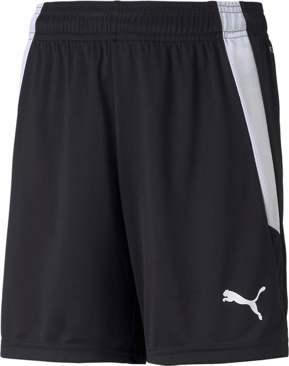 pumablackpumawhite