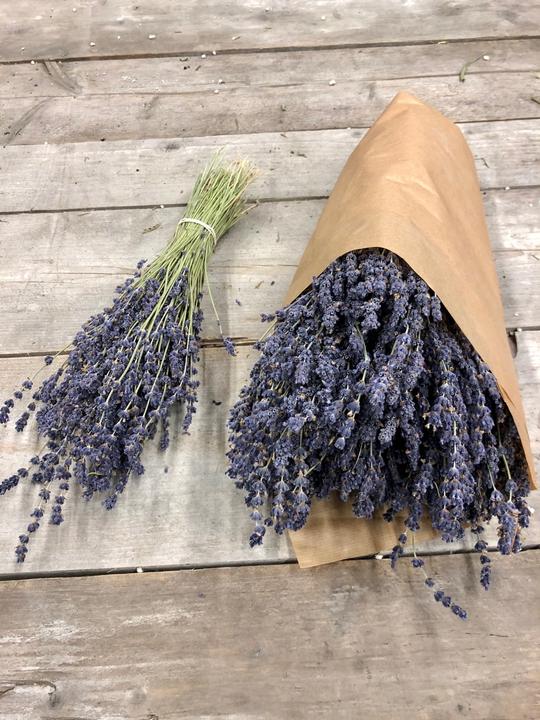 Fresca-Plant Trocken Bund Lavender natural Blue 4set (Trockenblumen)