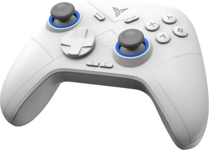 Actual product image Flydigi Direwolf 2
