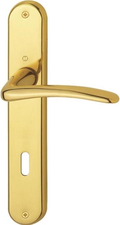 Actual product image Hoppe Long plate set Istanbul M171/332P brass F71 OB 72 mm DIN left / right (Door plate set)