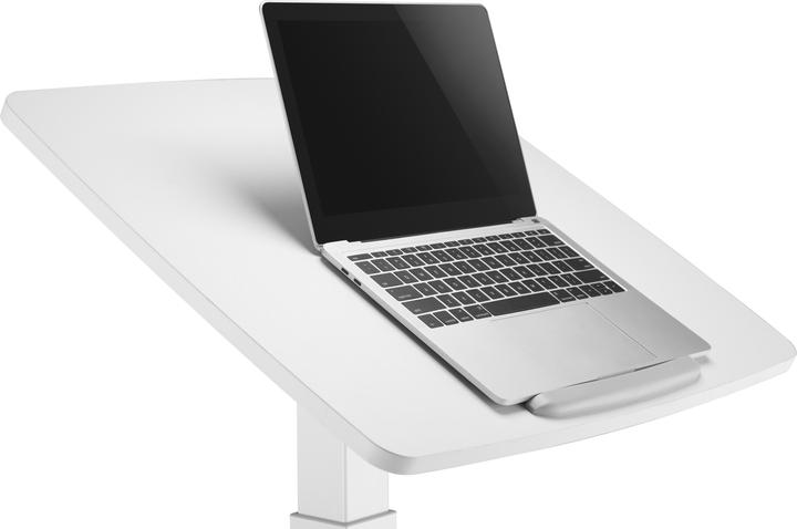 Produktbild Reflecta Dino